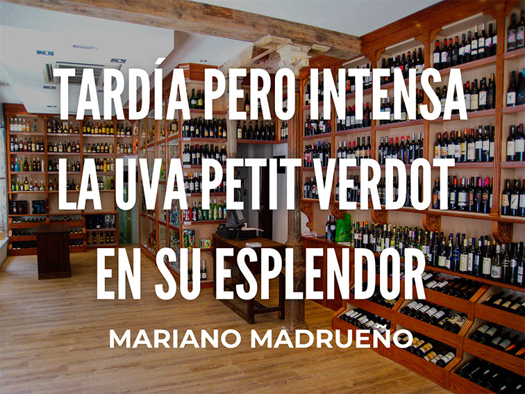 Tardía pero intensa la uva petit verdot en su esplendor